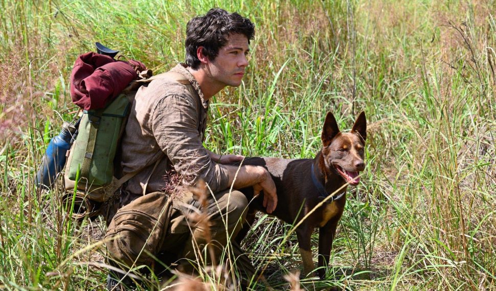 “Love and Monsters”, su Netflix il viaggio di un ragazzo insicuro durante la fine del mondo