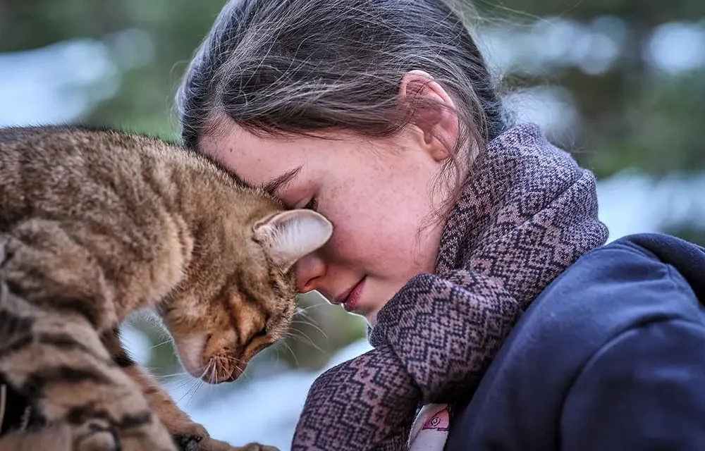 “Vita da gatto”… e da bambino. Dalla Francia un nuovo racconto di formazione