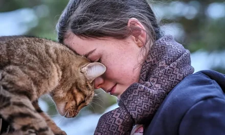 “Vita da gatto”… e da bambino. Dalla Francia un nuovo racconto di formazione