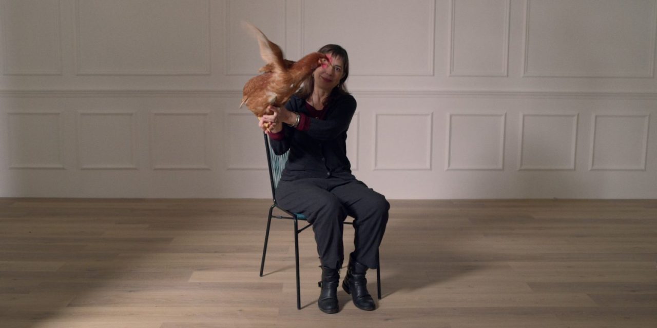“L’occhio della gallina”: l’Odissea della De Lillo nel sistema cinema