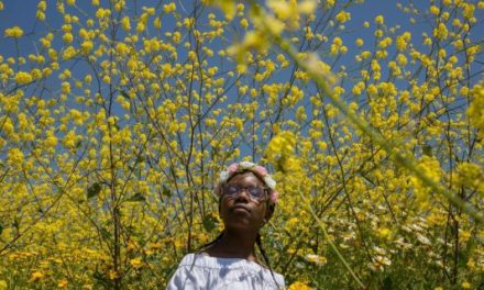 “A LOVE SONG FOR LATASHA”: MORIRE A 15 ANNI PER UN SUCCO DI FRUTTA